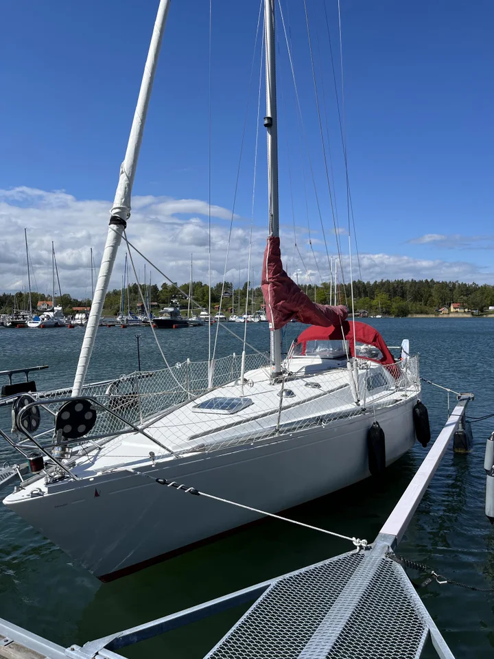 Scampi 30 image