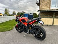 Triumph Speed triple 1050