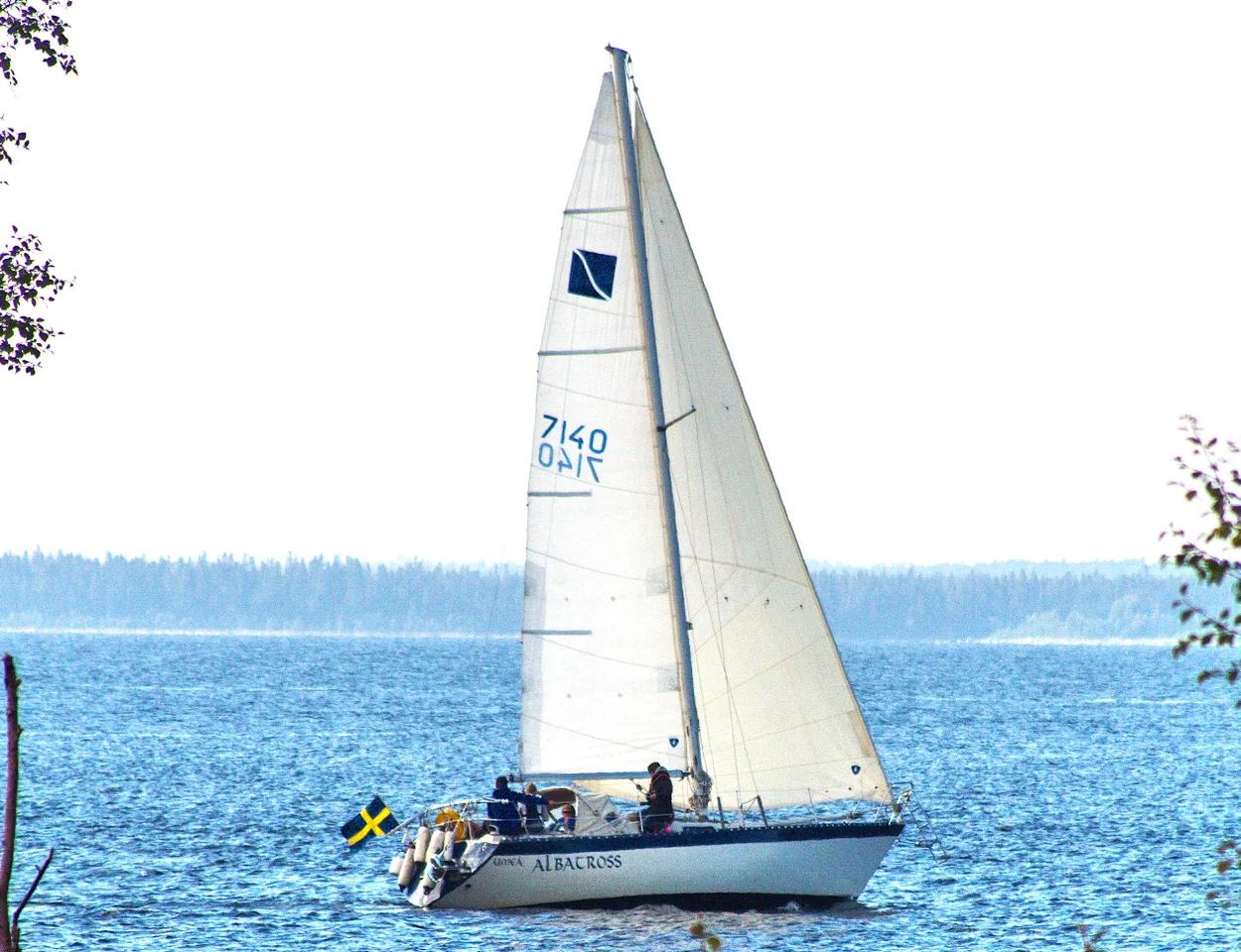 Forgus 31 1979 image