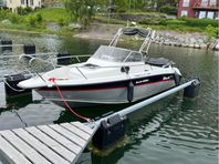 Silver shark 605 WA -06 mercury 135 -06 