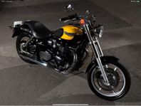 Triumph Bonneville Speedmaster, 800cc 2003.