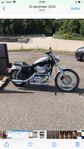 harley davidson xl1200c