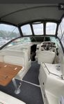 SeaRay Sundancer 240 med bogpropeller 