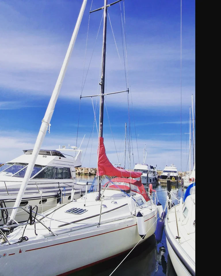 Scampi MK IV image