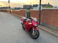 Suzuki RF600R tung MC
