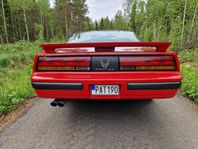 Pontiac Firebird 5.0 V8 Manuell Targa WS6