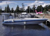 Sea Ray Pachanga 32