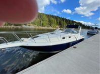 Sunboat/Searay 980 cuddy DC 10m yanmar disel-05,bog,webasto