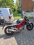 Suzuki Sfv 650 Gladius