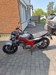 Suzuki Sfv 650 Gladius
