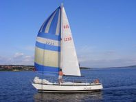 Boström 31