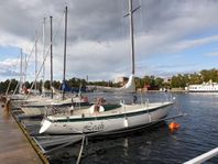 Boström 31