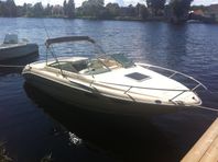 Sea Ray 22 Overnighter 1995