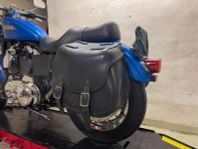 Lejonkulan väskor Sportster