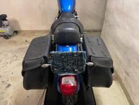 Lejonkulan väskor Sportster