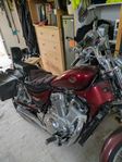 Suzuki vs 800