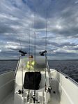 Seawolf 550 + Trailer. Perfekt för fiske och bad