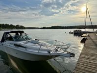 Sea Ray 290 Sundancer – välutrustad familjebåt i fint skick.