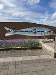 båtplats uthyres veckovis norra hamnen lysekil