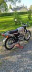 Puch Montana -81