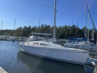 Delphia 33