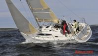 Delphia 33