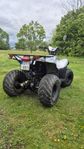 PGO X-Rider 150 2006