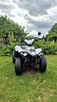 PGO X-Rider 150 2006