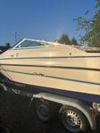 Sea Ray 200 OV LTD ink. Trailer 
