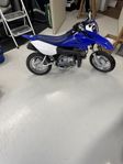 TTR50 