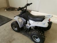 Fyrhjuling 50 cc