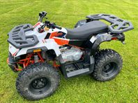 Kayo AU 180 cc