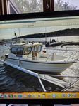 sea star 670