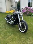 Kawasaki vn800