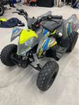 Polaris 110 efi