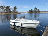 Ryds 485 dl