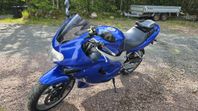Triump TT600