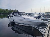 Wellcraft 2600 Martinique