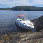 Chaparral 245ssi års mod 2000.
