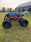 Viarelli Agrezza 125cc