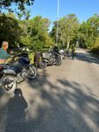 Triumph tiger 1200 