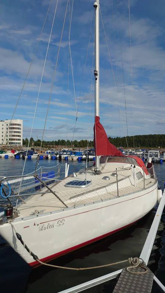 Scampi 78 image