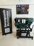 Volvo Penta D6 310 A-B Renoverad med nytt longblock