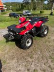 Polaris worker 500