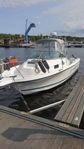 Bayliner Trophy 2002FF Walkaround 1999 Suzuki F140 & trailer