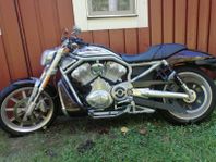 Harley Davidson VRSCR 