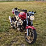 Honda Cb 900 Hornet