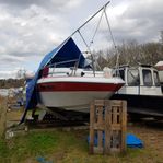 Fantastisk Day Cruiser - Renken 2354