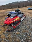 Lynx Racing 440 -04