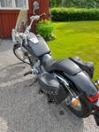 Honda 750 Shadow